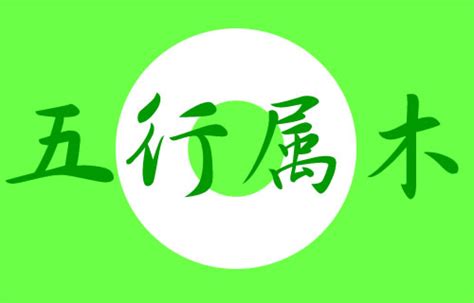 6劃的字五行|五行属木的字6画